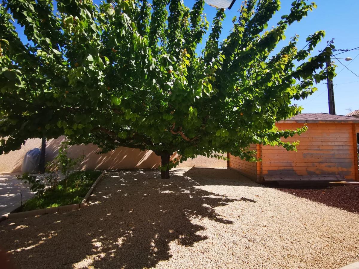 joli appartement indépendant avec piscine chauffée chez propriétaire Bernis Esterno foto