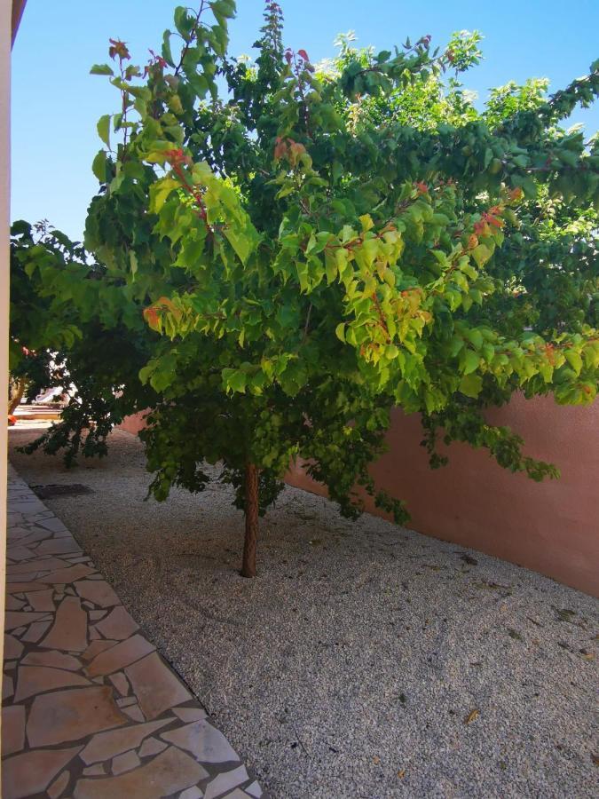 joli appartement indépendant avec piscine chauffée chez propriétaire Bernis Esterno foto