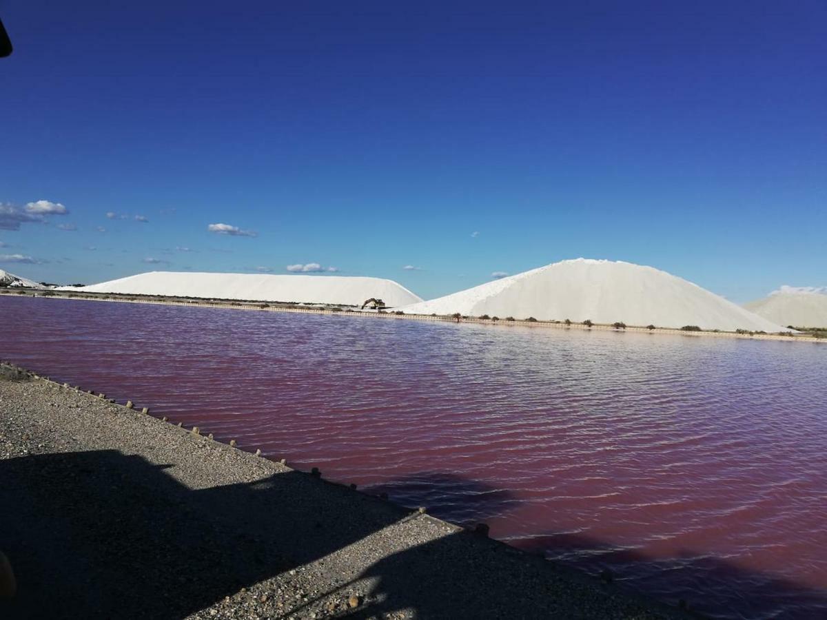 joli appartement indépendant avec piscine chauffée chez propriétaire Bernis Esterno foto